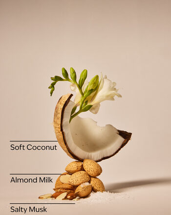 Coconut Linen Wallflowers Fragrance Refill Wallflowers Fragrance Refill