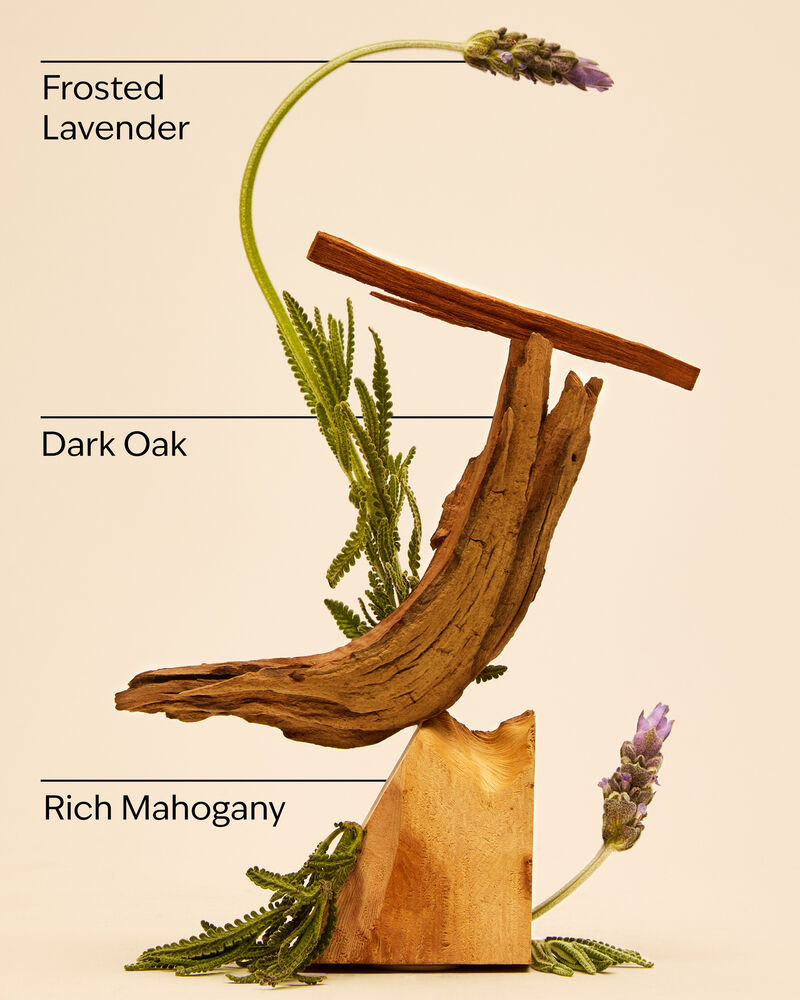 Mahogany Teakwood Body Wash Body Wash