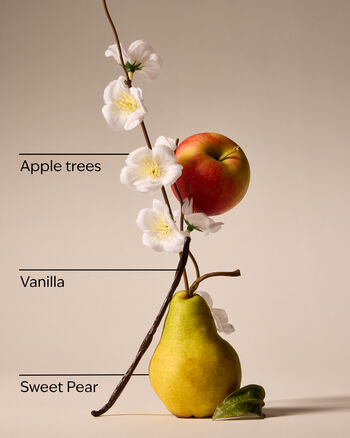 Spring Apple Hand Sanitizer Spray Hand Sanitizer Spray