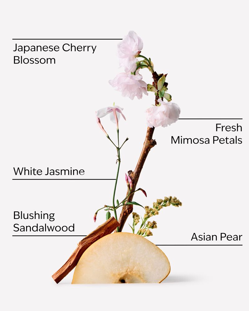 Japanese Cherry Blossom Travel Size Body Wash Travel Size Body Wash