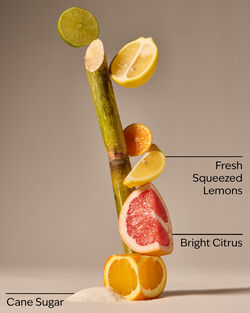 Sunshine & Lemons PocketBac Hand Sanitizer