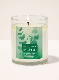 Eucalyptus Spearmint Single Wick Candle image number null