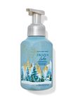 Frozen Lake Gentle & Clean Foaming Hand Soap image number null