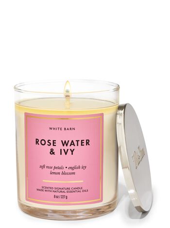 Rose Water & Ivy Signature Single Wick Candle Single Wick Candle