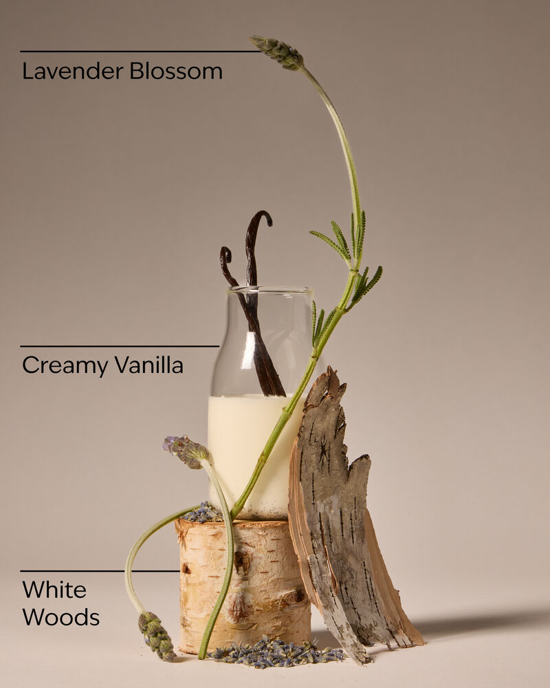 Lavender Vanilla Gentle Foaming Hand Soap Gentle Foaming Hand Soap