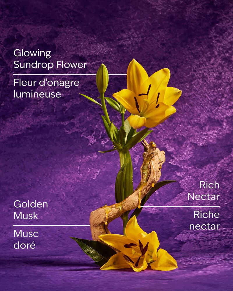 Rapunzel Travel Size Fine Fragrance Mist Travel Size Fine Fragrance Mist