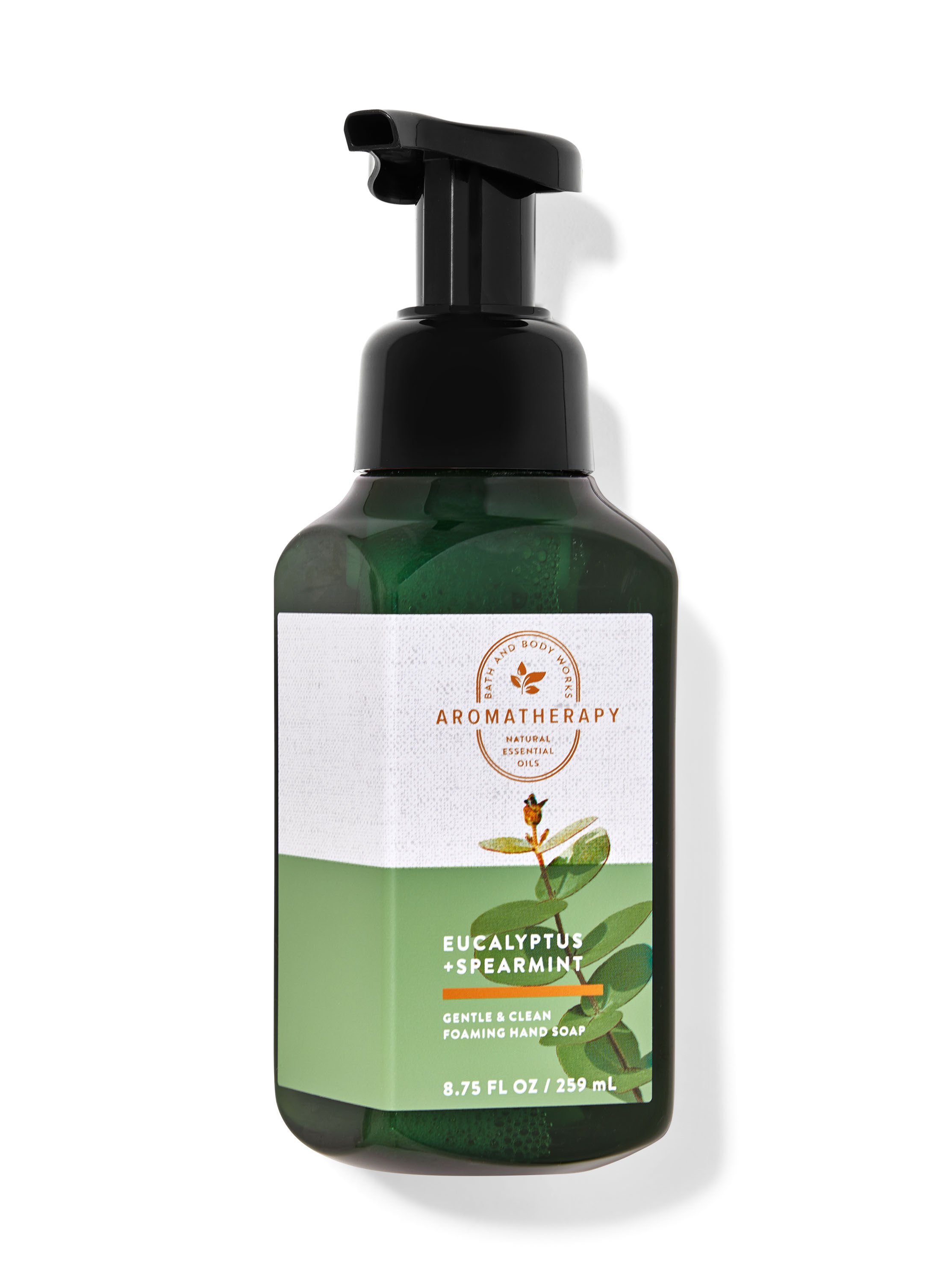 Buy Eucalyptus Spearmint Gentle Foaming Hand Soap Online Bath Body Works Singapore