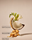 Coconut Linen Wallflowers Fragrance Refill image number null