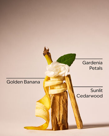 Dreaming of Rio Body Butter Body Butter
