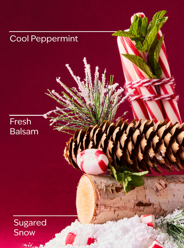 Twisted Peppermint Bath Fizzy Bath Fizzy