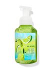 Sea Salt & Lime Gentle & Clean Foaming Hand Soap image number null