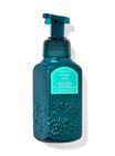 Frozen Lake Gentle & Clean Foaming Hand Soap image number null