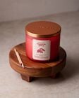 Pumpkin Apple 3-Wick Candle image number null