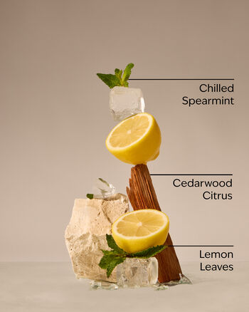 Fresh Amalfi Lemon Cleansing Gel Hand Soap Cleansing Gel Hand Soap