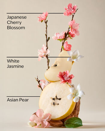 Japanese Cherry Blossom Nourishing Hand Soap Creamy Luxe Hand Soap