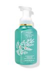 White Tea & Sage Gentle Foaming Hand Soap image number null