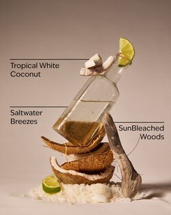 Waikiki Beach Coconut Body Lotion image number null