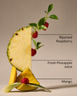 Pineapple Mango PocketBac Hand Sanitizer image number null
