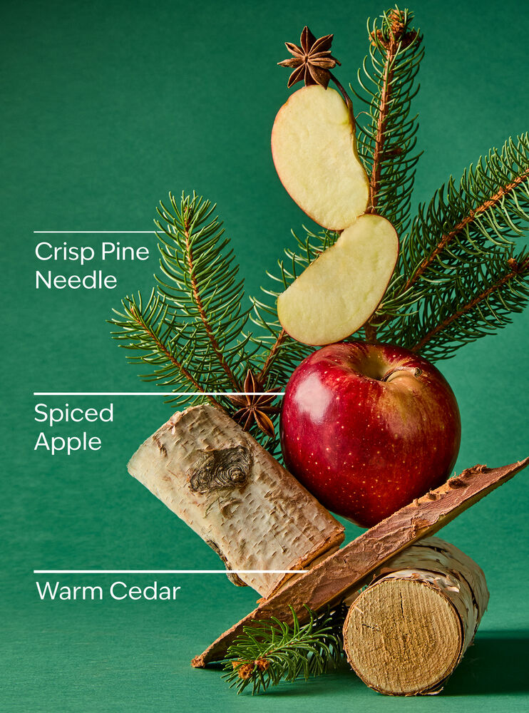 Tree Farm Wallflowers Fragrance Refill Wallflowers Fragrance Refill