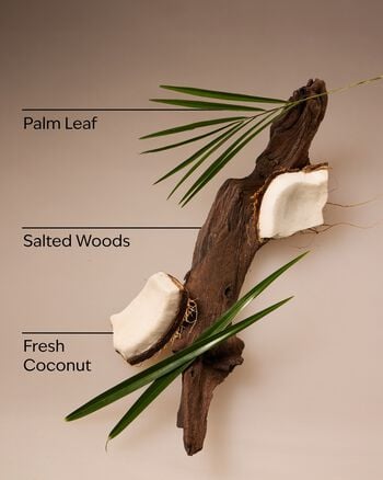 Coconut Nectar Travel Size Smooth & Soothe Body Cream Travel Size Smooth & Soothe Body Cream