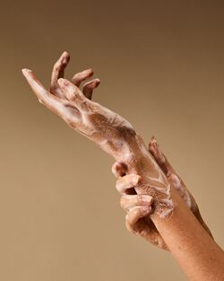 Rosewood & Suede Gentle & Clean Foaming Hand Soap image number null