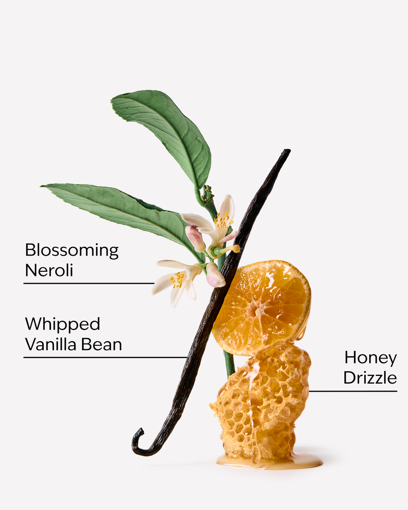 Whipped Honey & Vanilla Hanging Fragrance Diffuser Hanging Fragrance Diffuser