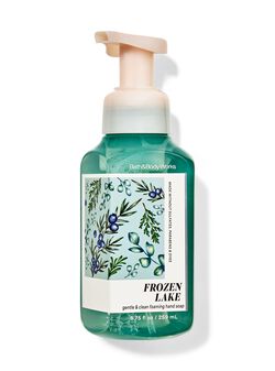 Frozen Lake Gentle & Clean Foaming Hand Soap Frozen Lake Gentle & Clean Foaming Hand Soap