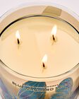 Blue Orchard Skies 3-Wick Candle image number null