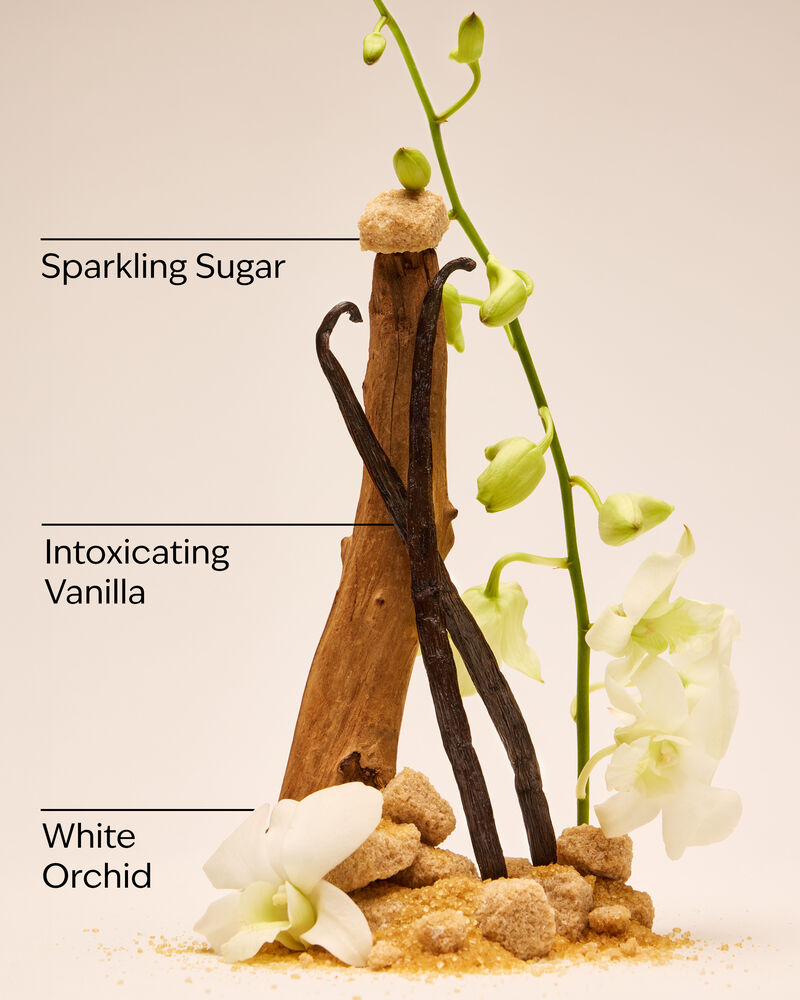 Warm Vanilla Sugar Body Wash Body Wash