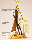 Warm Vanilla Sugar Body Wash image number null