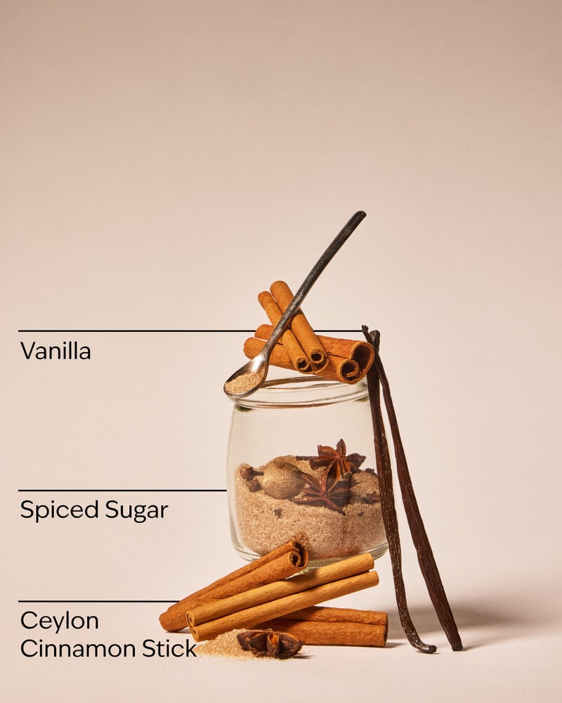 Cinnamon Stick Wallflowers Fragrance Refill Wallflowers Fragrance Refill