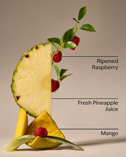 Pineapple Mango Foaming Hand Soap image number null