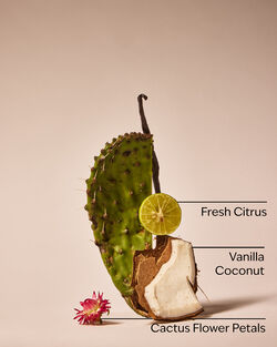 Cactus Blossom Single Wick Candle image number null