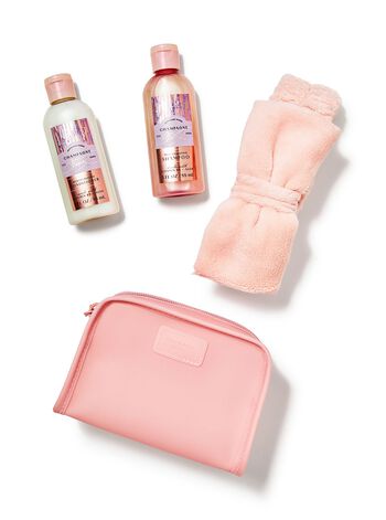 Champagne Toast Women's Travel Hair Set Women's Travel Hair Set