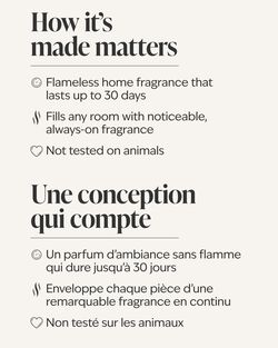 Fluffy Almond Marshmallow Wallflowers Fragrance Refill image number null