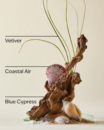 Ocean  Hand Sanitizer Spray Hand Sanitizer Spray