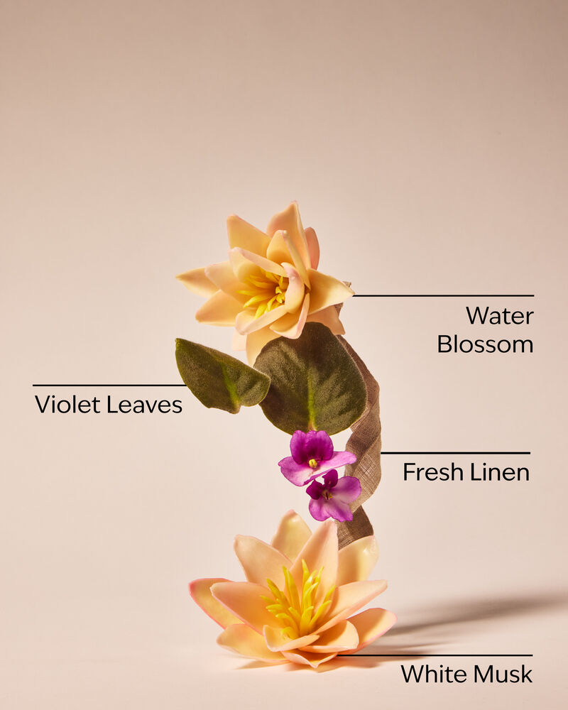 Saltwater Breeze Body Wash & Shower Gel Moisturizing Body Wash