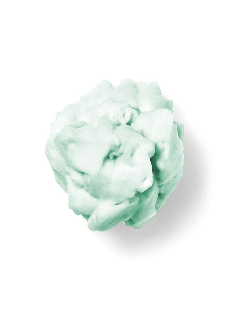 Vanilla Bean Noel Shapeable Soap Shapeable Soap