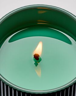 White Tea & Sage Single Wick Candle image number null