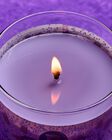 Rapunzel Single Wick Candle image number null