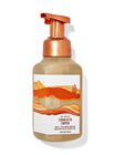 Terracotta Canyon Gentle & Clean Foaming Hand Soap image number null