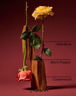 Nocturnal Rose Wallflowers Fragrance Refill image number null