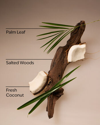 Coconut Nectar Travel Size Fine Fragrance Mist Travel Size Fine Fragrance Mist