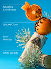 Winter Single Wick Candle image number null