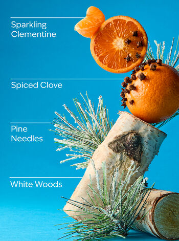 Winter Single Wick Candle Single Wick Candle