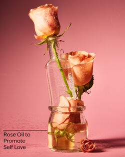 Heirloom Rose Body Wash & Foam Bath image number null