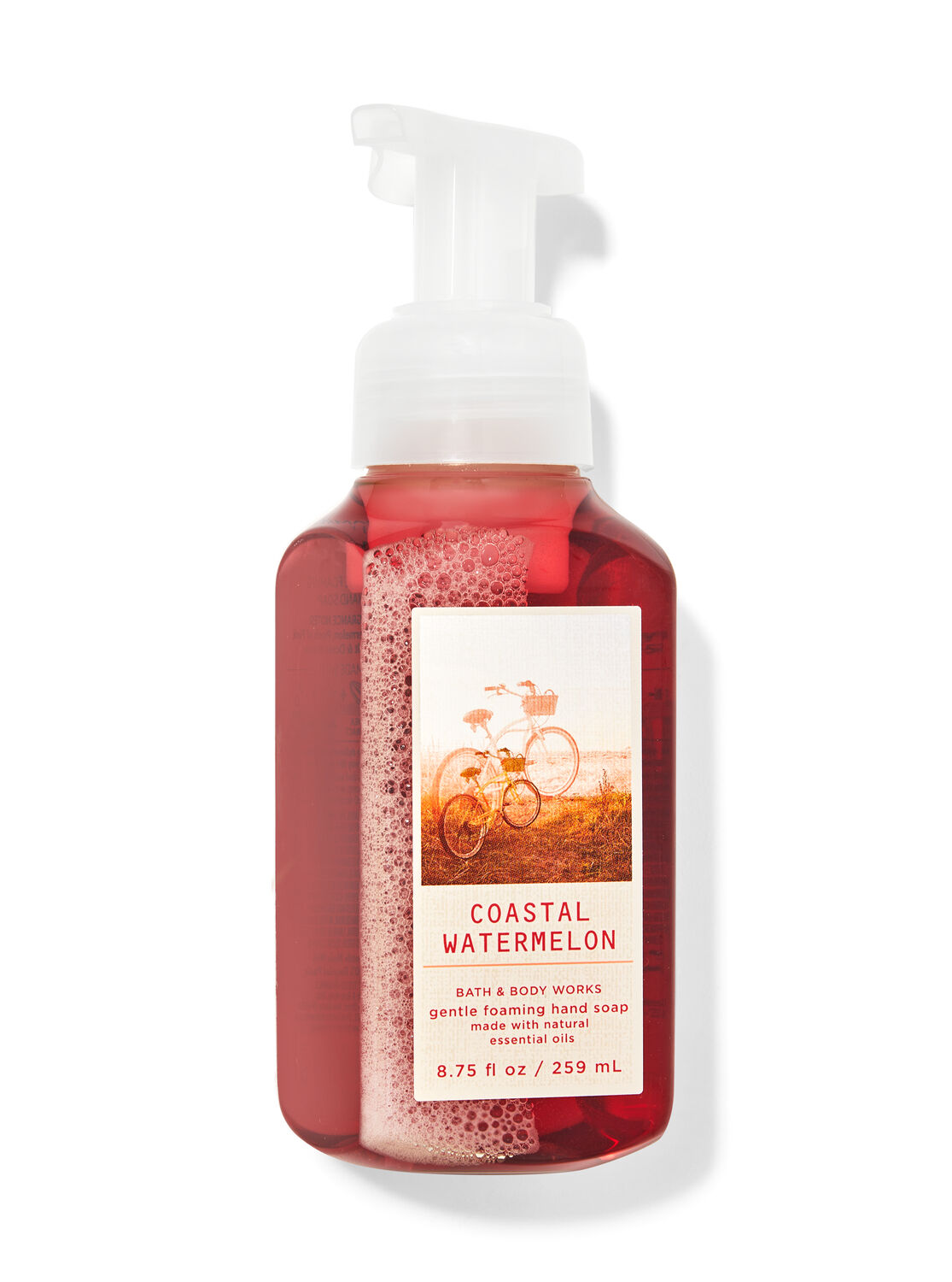 Shop Coastal Watermelon Gentle Foaming Hand Soap | SG Bath