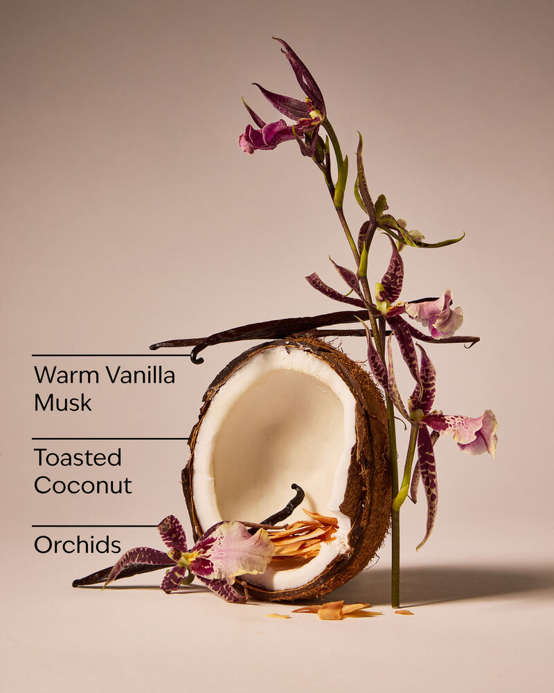 Tiki Beach 3-Wick Candle 3-Wick Candle