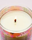 Pink Pineapple Sunrise Single Wick Candle image number null