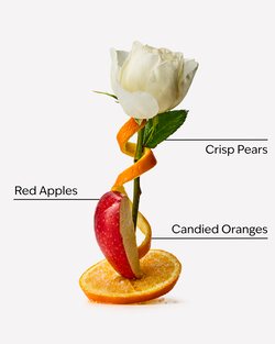 Winter Candy Apple Moisturizing Body Wash